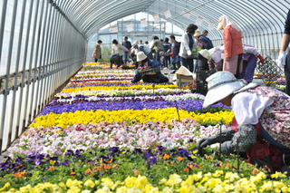 花の駅